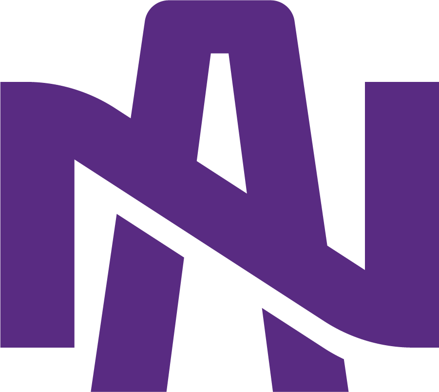 North Alabama Lions 2022-Pres Secondary Logo diy iron on heat transfer